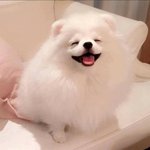 [댓글부탁해] 기분 __같을<b>때</b> <b>얼굴</b>표정