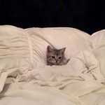 [댓글부탁해] 독서실 다닐까말까 <b>찬반</b>ㄱㄱ