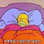 [드루와] 이번 시험은 올림픽이다 참가하는데 <b>의의</b>를 두자 이짤