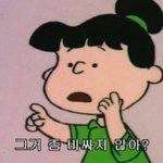 데일리 렌즈추천해주라