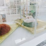 [댓글부탁해] 나 아이돌 노래들 <b>개사</b>한 거 봐줄 사람?