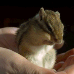 [댓글부탁해] 인스타 아이디 이거어때