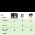 아 조카시끄럽네 개저<b>씨</b> <b>한</b>마리