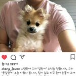 [댓글부탁해] <b>장용준</b>이랑 장제원 개웃기네