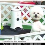 [모두드루와] 탈옥 <b>실황</b> 중계
