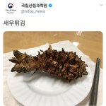 [댓글부탁해] <b>새우</b>튀김.jpg