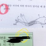 [댓글부탁해] <b>수험</b>생할인 성적표로 될까