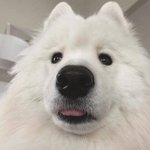 우리 짭찐따 친구는