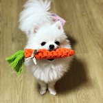 우리 이쁜 <b>두부</b>❤️