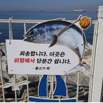 낚시 위험<b>지역</b>에서 본 귀여운 안내판 ㅋㅋ