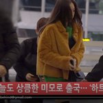 [태연] 태연 저녁 출국... <b>말레</b> 공연 감~ 잘 다녀와~