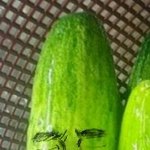 너네 쥬니어네이버 게임랜드 사라지는거 아냐