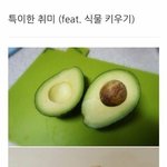 [드루와] <b>식물</b>갤러의 특이한 취미