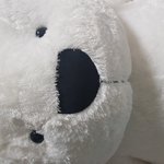[댓글부탁해] 큰 곰인형 선물 받았어ㅋㅋㅋ