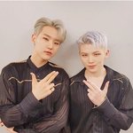 [세븐틴] 내일 ..