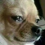 올해 시상식 주요상 명단 정리