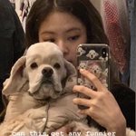 [댓글부탁해] 제니 강아지랑 <b>졸</b><b>귀</b>다
