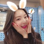 배토끼