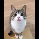 [댓글부탁해] 인하대컴공과 가 뭐하는<b>데임</b> ??