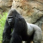 [댓글부탁해] 너네 허망된거아는데 되보고싶은거있어?