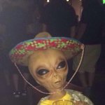 [댓글부탁해] 얘들아 파워디렉터 써본사람 제발ㅠㅠ