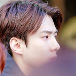 [EXO] 이거 <b>콧대</b> 오진다진짜