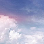 얘들아 속눈썹 다시 <b>자라</b>???