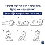 얘들아 나 교정해야할까?