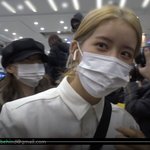 [댓글부탁해] 우주소녀 방금 전 입국... 하트<b>주자</b>