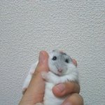 [드루와] <b>니</b>네 <b>생일</b>때 선물 뭐 받고싶어?