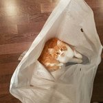 아기야 <b>보거</b>싶어