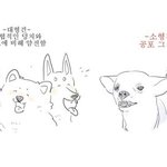 허벅지 <b>안쪽</b>살때문에 다리 짧아보이는사람ㅠㅠ?