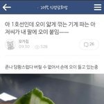 [댓글부탁해] 고3들아 정시 어디쓸거니