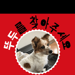 <b>공주시</b>에서 실종된 믹스견 보시면 연락주세요..