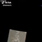 [댓글부탁해] 크리스마스<b>트리</b> 근황.gif