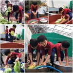 [댓글부탁해] 유치원에서 <b>김장</b>하는 대한 민국 만세ㅠㅠ
