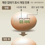 [댓글부탁해] 내년부터 바뀌는 <b>달걀</b> 표시