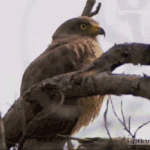 [방탄소년단] 슈가 어거스트 디