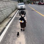 오신 토모에 아는 사람 있냐