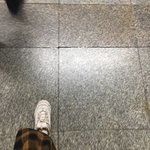 [드루와] 오늘 간만에 혼놀하고 와쪄 ㅎㅎ