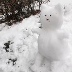 [드루와] 지금 <b>자퇴</b>한사람들있어????????