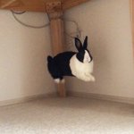 [댓글부탁해] 얘들아 <b>새해</b> 첫 노래 머ㅓ들을거야