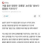 [댓글부탁해] 밭에서 키우는 <b>마시</b>멜로우의 정체