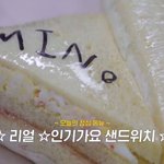 <b>인가</b> 샌드위치를 소개하는 <b>인가</b>데뷔1일차 아이도루의 4컷 만화