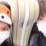 얘네 특징 뭐야 이상형임