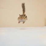 [드루와] 난 드라마<b>악역</b>이 좋더랑