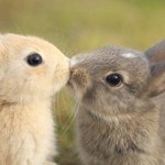 모르는 사람한테 대놓고 <b>얼</b><b>평</b>당함ㅋㅋ