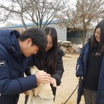 [강아지] 부산으로 <b>입양</b>간 리트리버