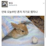 [방탄소년단] 그짤 있는 사람...ㅠㅠ