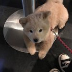 [조언부탁해] 나<b>탈모</b>냐